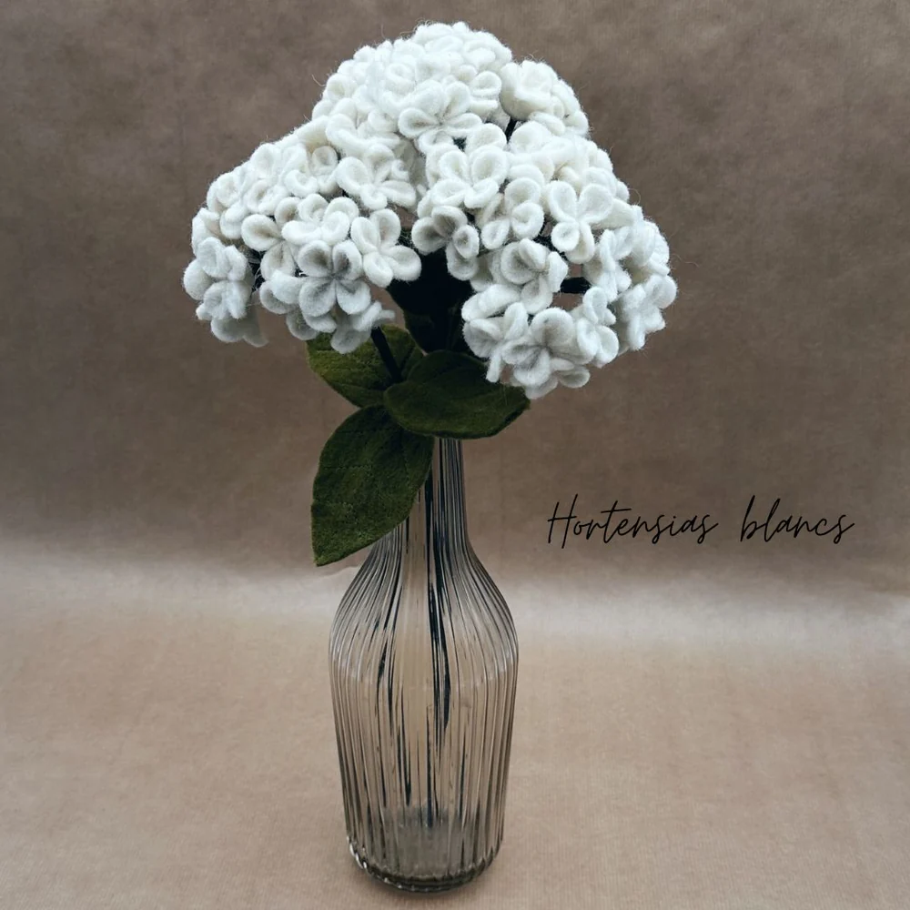 New Heidi - Hortensia Blanc