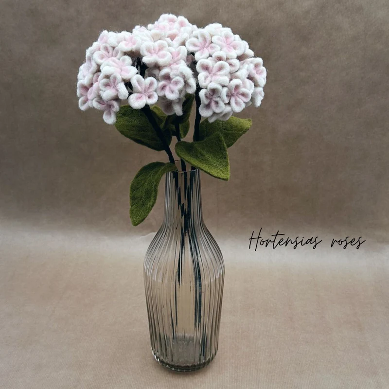 New Heidi - Hortensia Rose