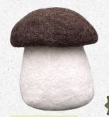 New Heidi - Champignon Moyen Marron