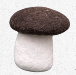 New Heidi - Champignon Petit Marron 