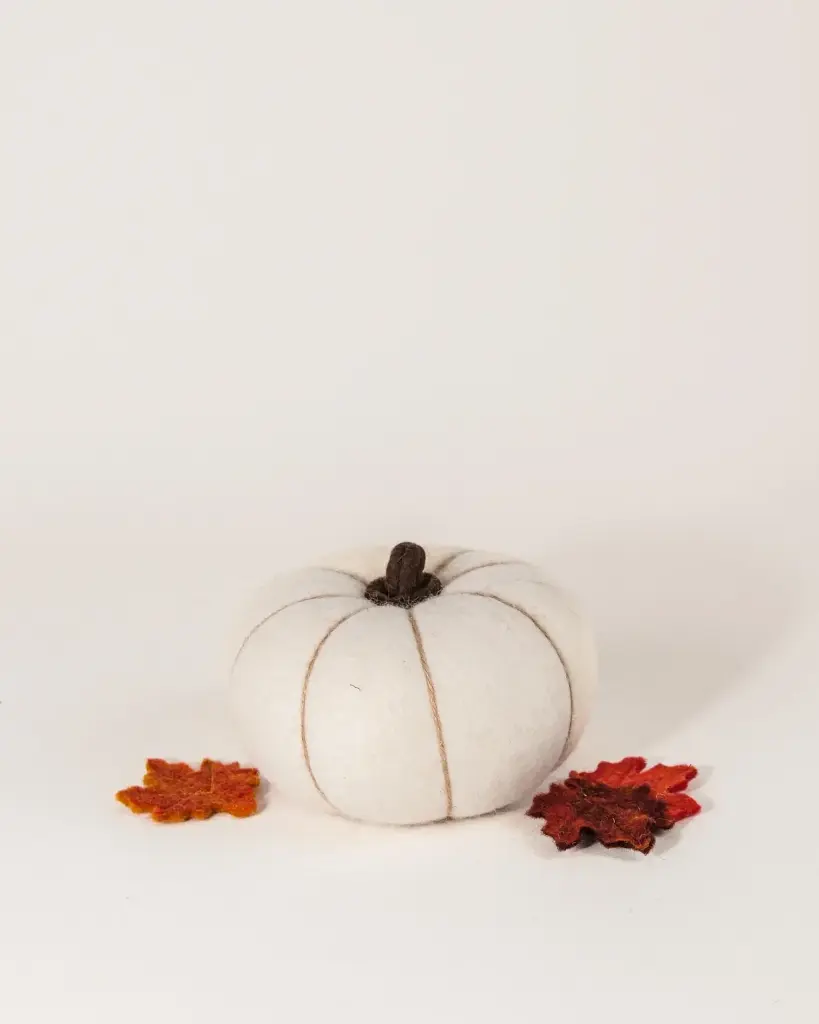 New Heidi - Citrouille Moyen Blanc