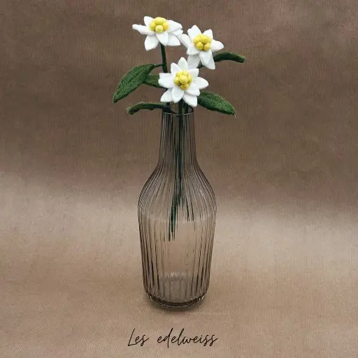 [NEW_0019] New Heidi - Fleur Edelweiss